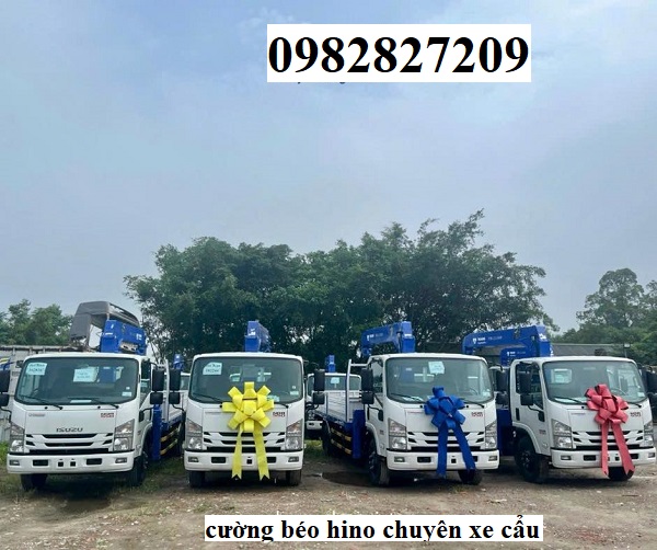Giá Xe tải JAC gắn cẩu TANADO 3 tấn|Xe JAC gắn cẩu TANADO 3 tấn giá dẻ
